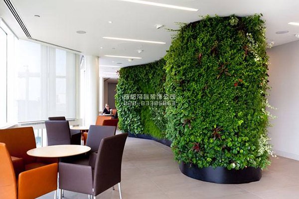 辦公室裝修完以后擺放什么綠植好？